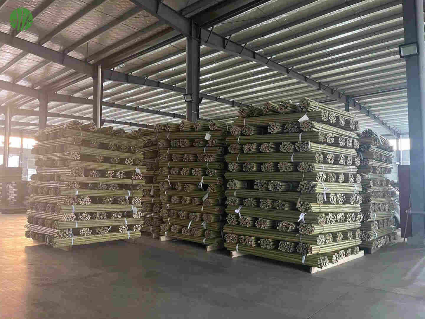 Bamboo cane for agriculture or garden