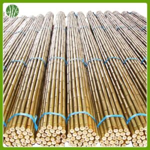 Bamboo cane for agriculture or garden