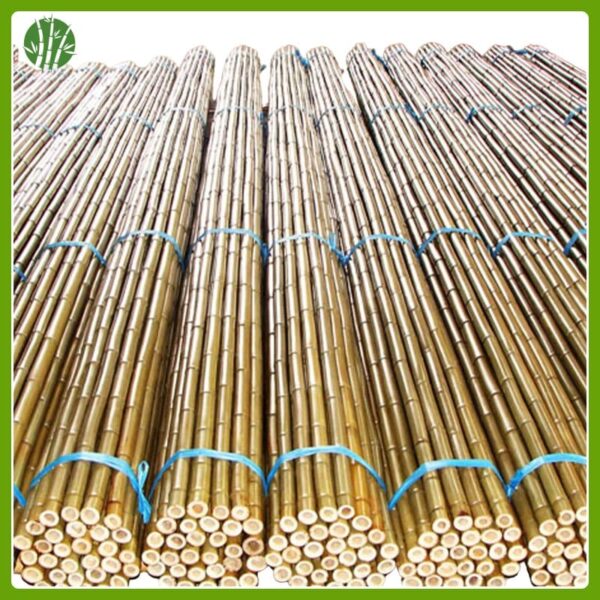 Bamboo cane for agriculture or garden